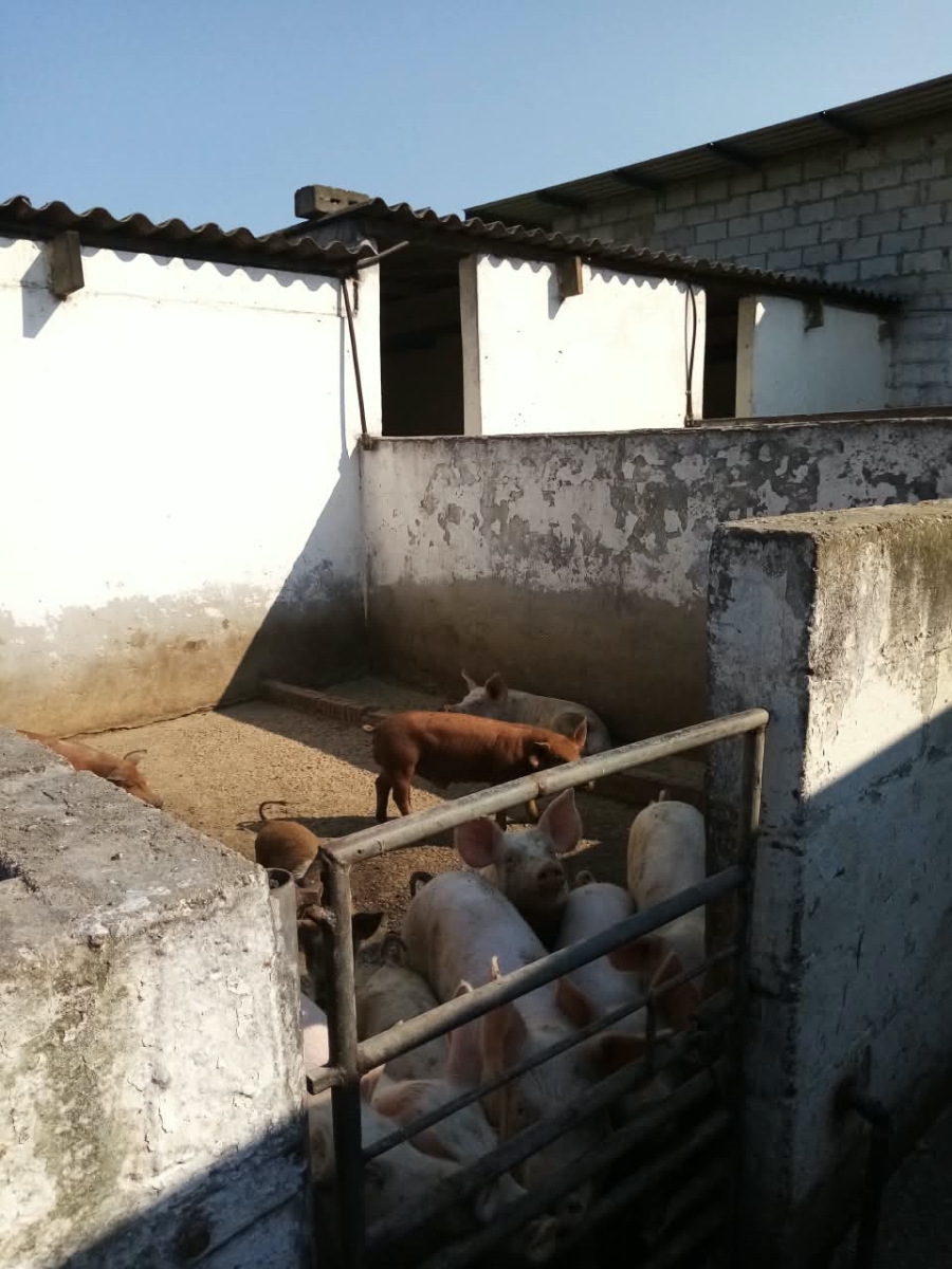 Commercial Property for Sale in Rocklands Eastern Cape